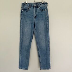 American Eagle Outfitters Mom Jeans